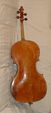 Cello back